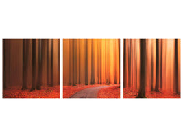 panoramic-3-piece-canvas-print-path-to-unknown