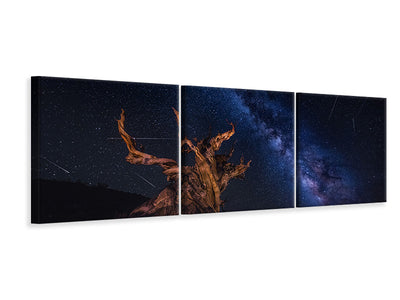 panoramic-3-piece-canvas-print-shooting-stars-night
