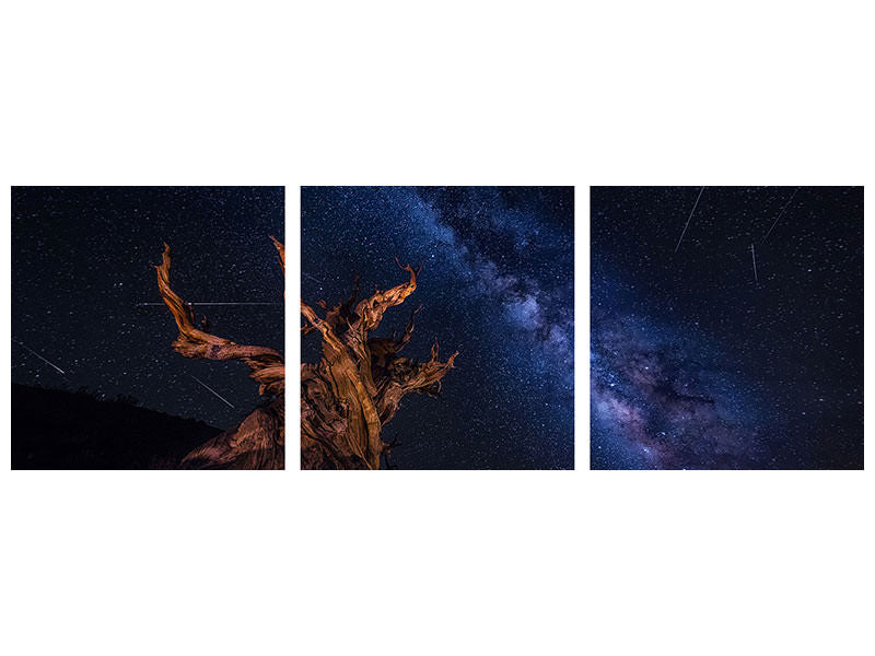 panoramic-3-piece-canvas-print-shooting-stars-night