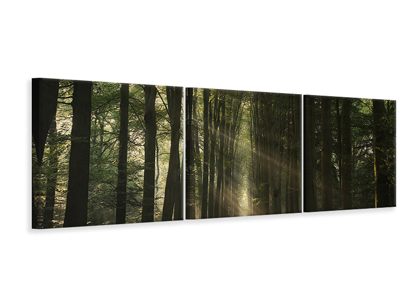 panoramic-3-piece-canvas-print-the-essential