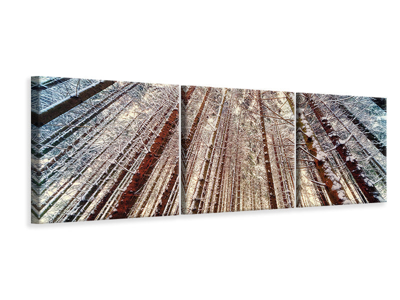 panoramic-3-piece-canvas-print-trees-in-the-snow