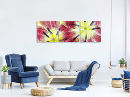 panoramic-3-piece-canvas-print-tulips