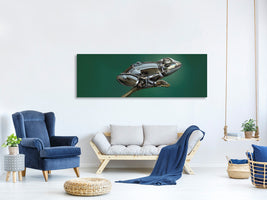 panoramic-canvas-print-frog