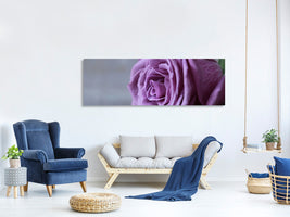 panoramic-canvas-print-rose-in-purple-xxl