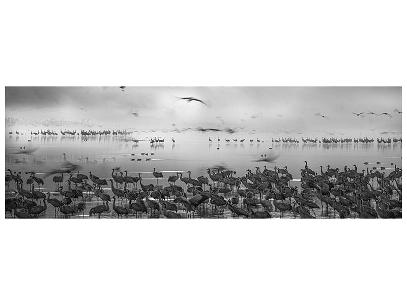 panoramic-canvas-print-untitled-iii